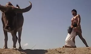 Pullon haju posliini pillut