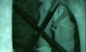 Malli esittelee karvainen pillu vartaloaan kameralle.