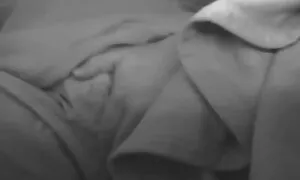 Laiha, ilmaiset pillut solmio, Karvainen, Karvainen tussu