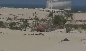 Nuori nainen kadulla on pukeutunut huiviin ja takkiin. pornopillu