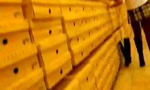 Lenan päiväkirja ilmaiset pillu videot